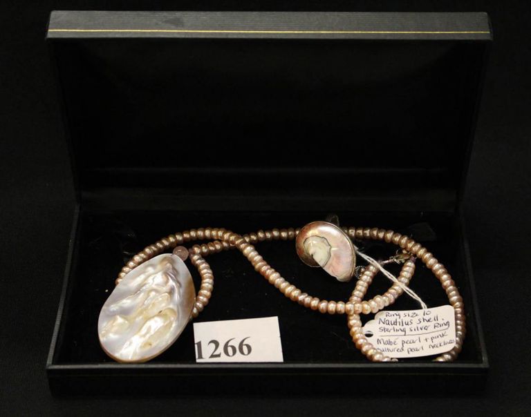 Jewelry box with ring and necklace: nautilus shell