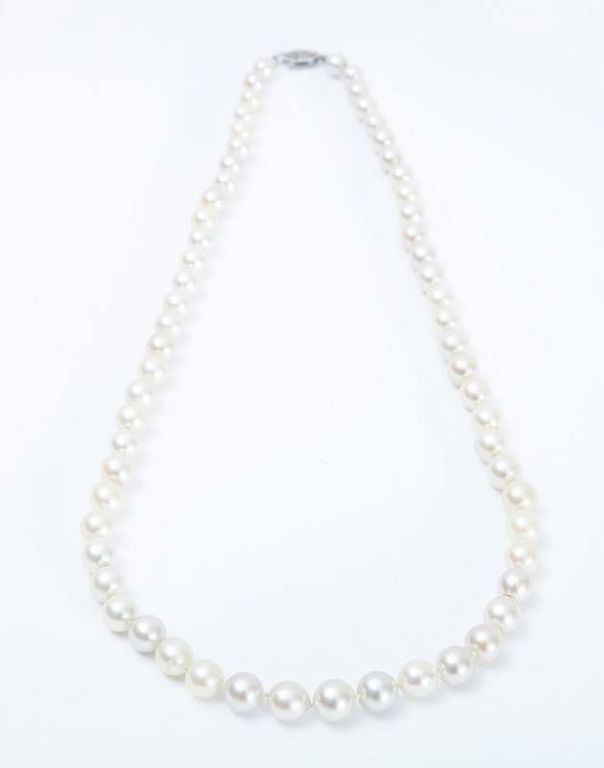 Single Strand Cultured Peal Necklace