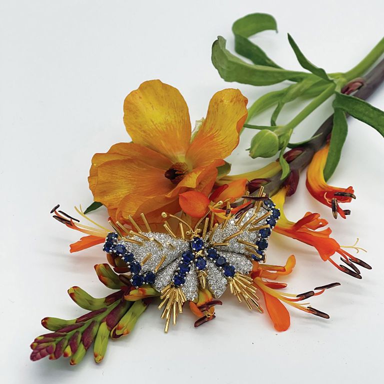 Schlumberger for Tiffany & Co. Brooch