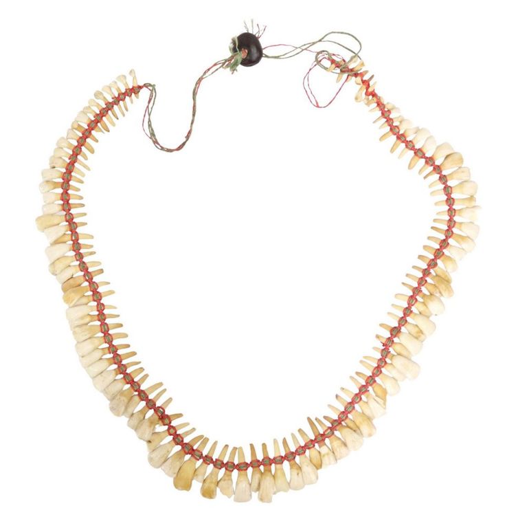 Native American Buffalo Teeth Necklace