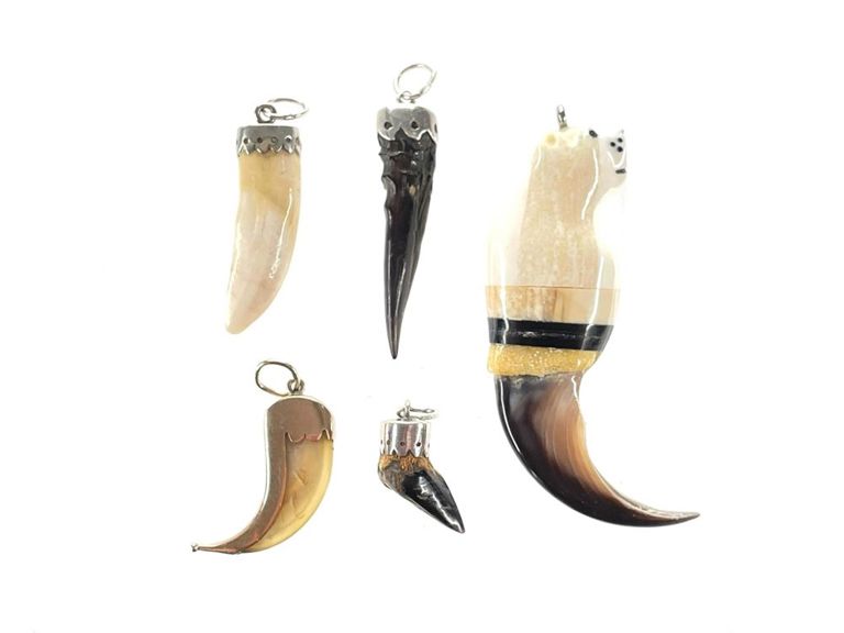 Polar bear claw and fetish pendants