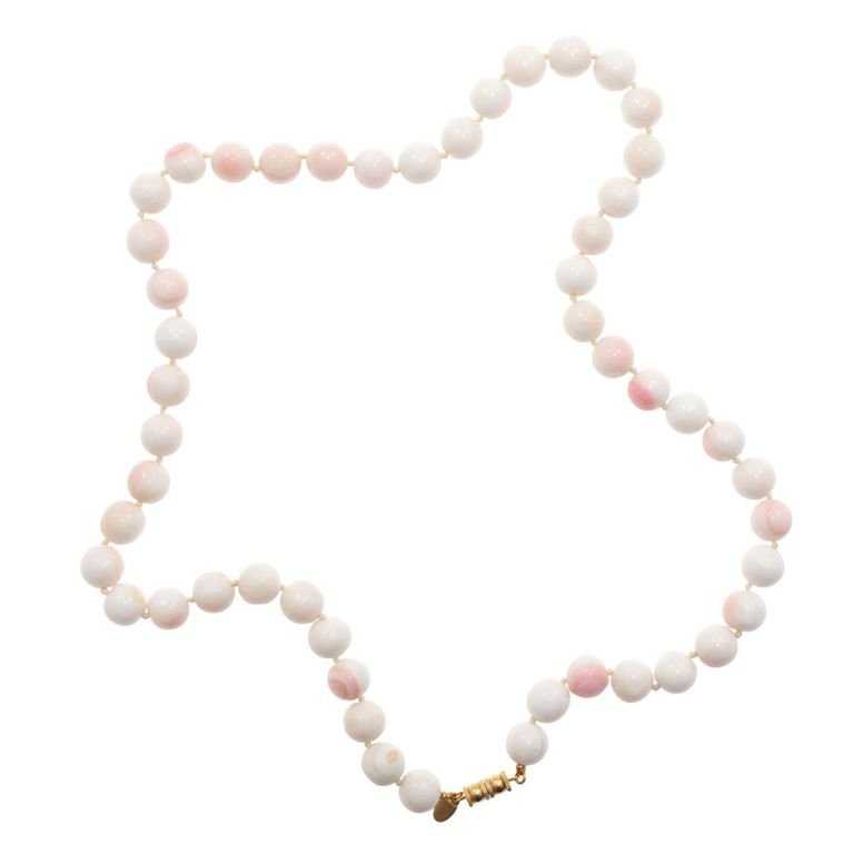 Conch shell bead gold-filled necklace