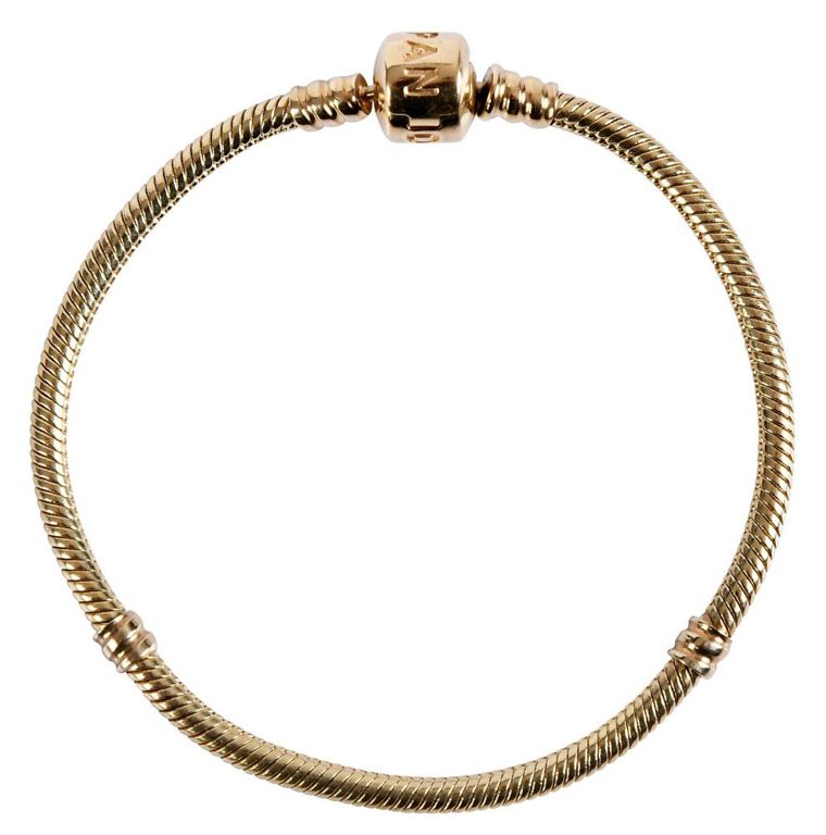14k Yellow Gold Snake Chain Bracelet
