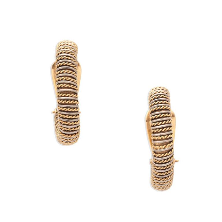 Bicoloured Hoop Earrings