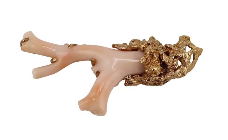14k Yellow Gold Angel Skin Coral Brooch
