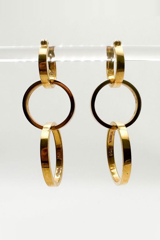 Pair of 18k Gold Earrings