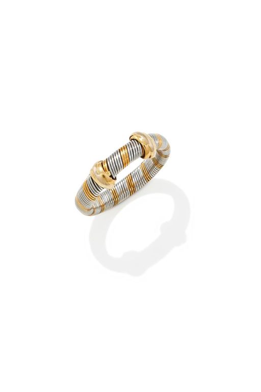 Gold and Steel Ring