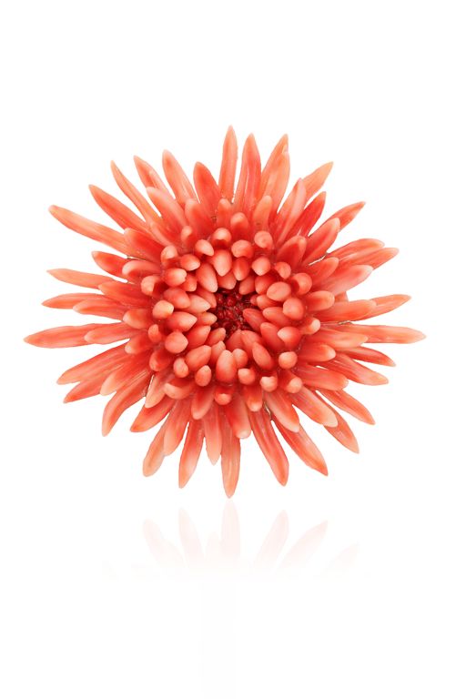 18k Gold Coral Brooch