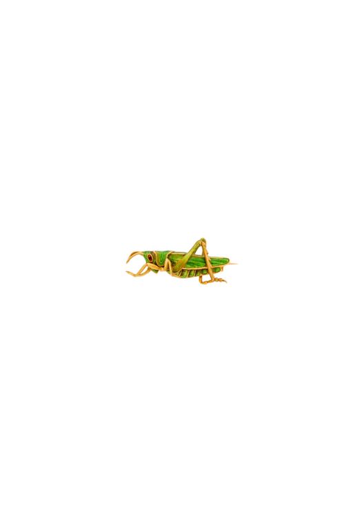 18k Gold Enamel Grasshopper Brooch