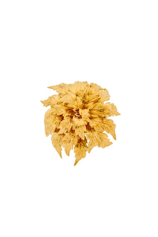 18k Gold Brooch
