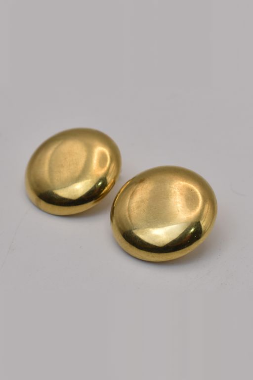 Pair of 18k Gold Earrings