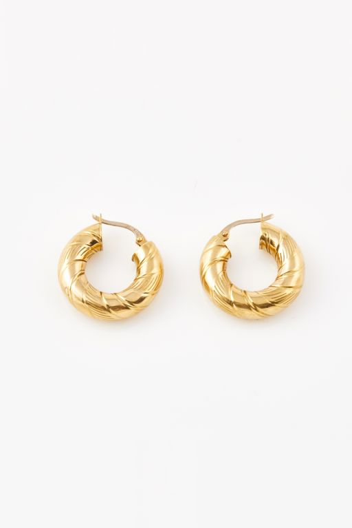 Pair of 18k Gold Earrings