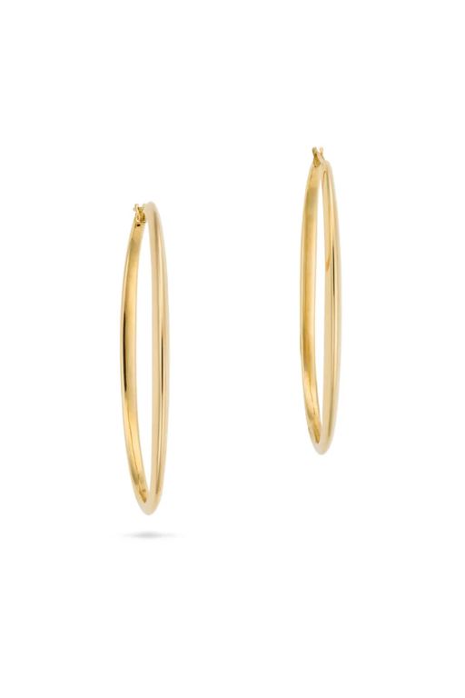 Pair of 14k Gold Earrings
